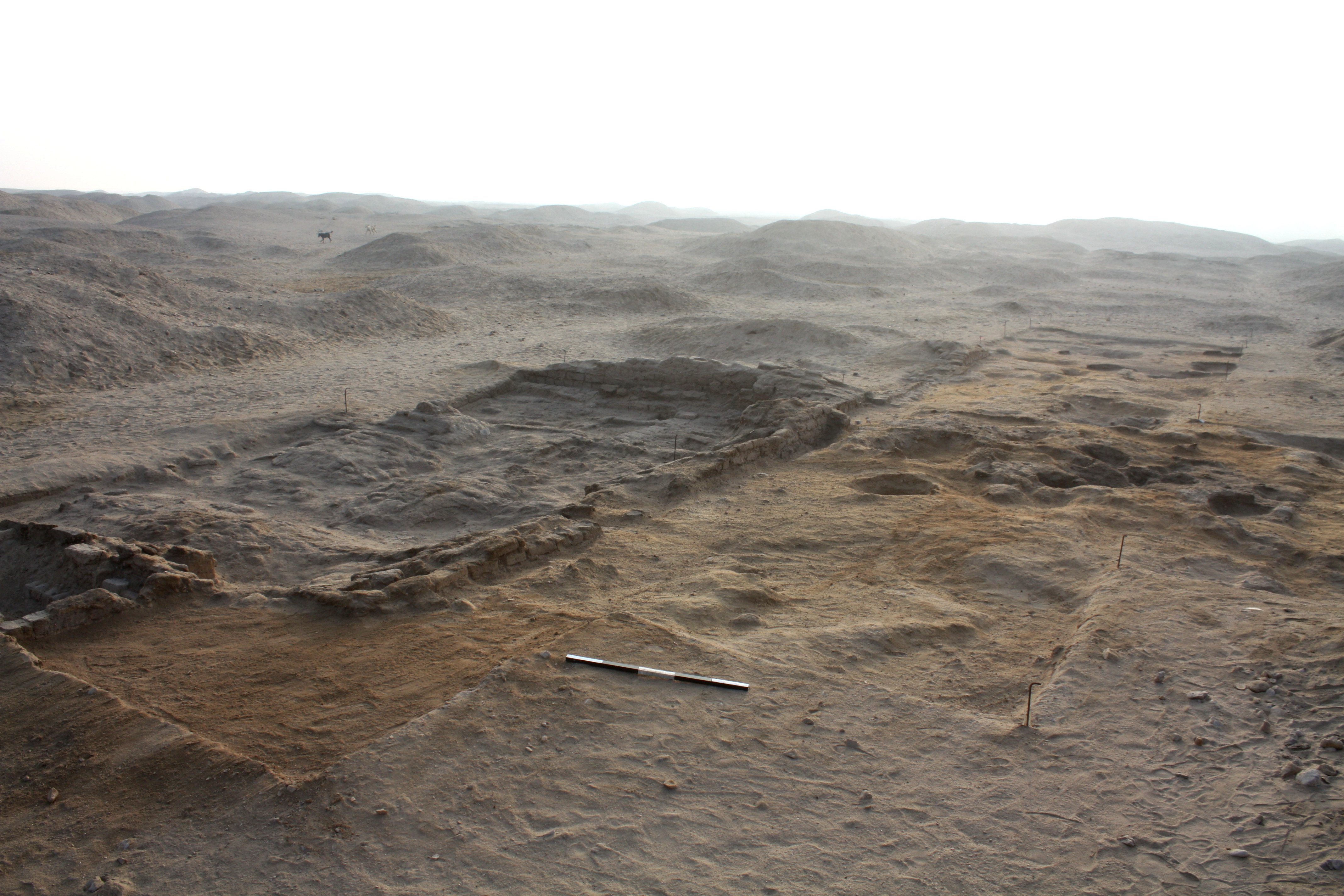 Overview of the site, looking north-east